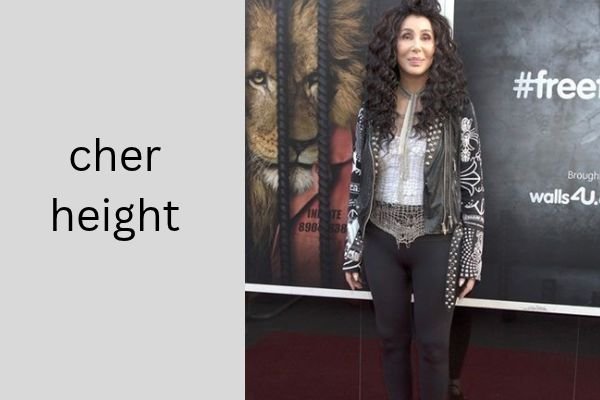 Cher Height: How Tall Is She Really? (5 ft 9 in Confirmed) Amazing Height Facts cher height